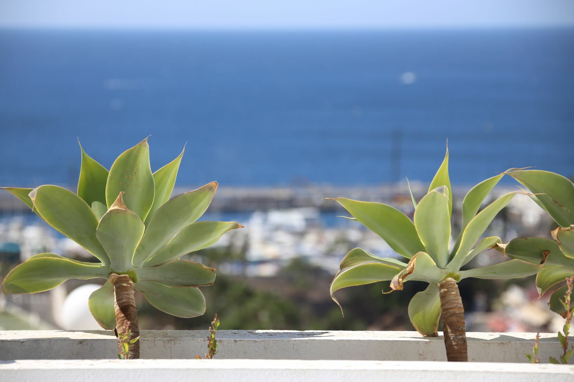 Apartamentos Halley Puerto Rico  Zewnętrze zdjęcie